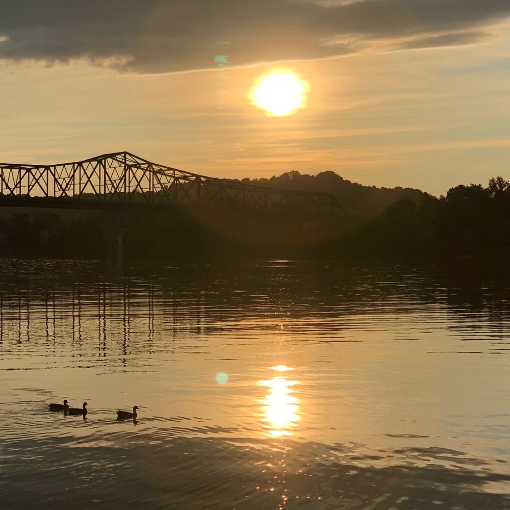 Meet your Posher, Sacha